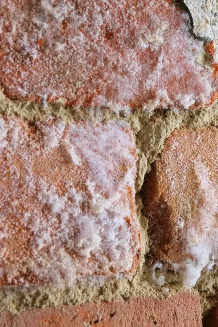 Willkommen bei BWA Rhein-Sieg